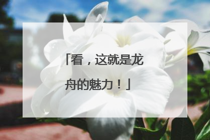 看，这就是龙舟的魅力！